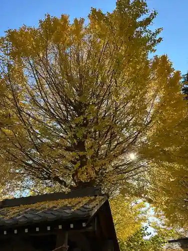 小野神社(東京都)