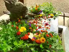 滑川神社 - 仕事と子どもの守り神の手水