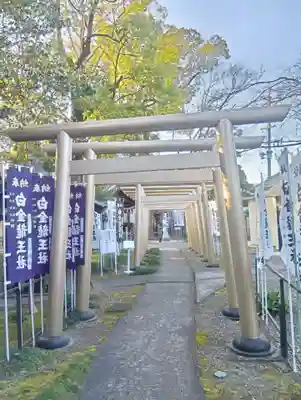 白金龍王社(愛知県)