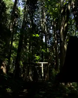 戸隠神社宝光社(長野県)