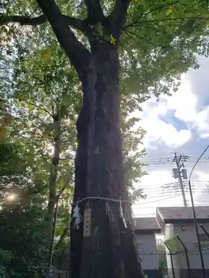 熊野宮(東京都)