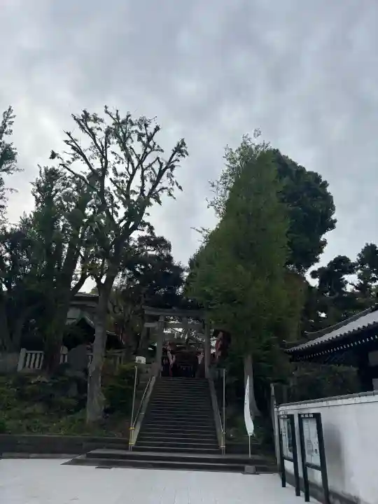 居木神社の{uncategorized: "未分類", other: "その他", undefined: "問題あり", building: "その他建物", grave: "お墓", sacred_gate: "鳥居", guardian: "狛犬", statue: "像", buddha: "仏像", history: "歴史", nature: "自然", garden: "庭園", animal: "動物", pagoda: "塔", temizu: "手水舎", mountain_gate: "山門・神門", sanctuary: "本殿・本堂", subordinate: "末社・摂社", art: "芸術", scenery: "景色", jizo: "地蔵", ema: "絵馬", goshuin: "御朱印", omikuji: "おみくじ", items: "授与品その他", amulet: "お守り", goshuincho: "御朱印帳", eats: "食事", festival: "お祭り", votive_dance: "神楽", shichigosan: "七五三参", wedding: "結婚式", experience: "体験その他", initially: "初詣", around: "周辺", anti_infection: "感染症対策"}