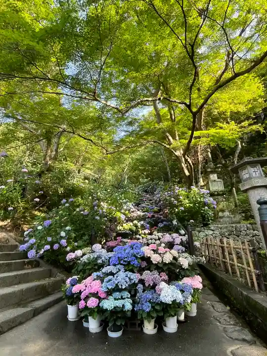 長谷寺(奈良県)