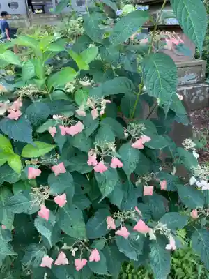 妙楽寺(神奈川県)