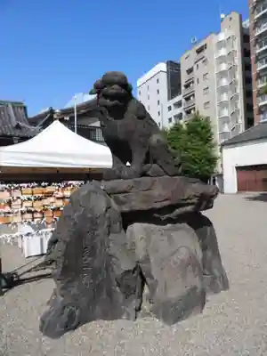 浅草神社の狛犬