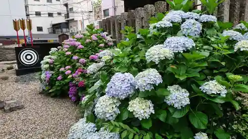 三輪神社の庭園