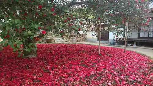 圀勝寺の景色