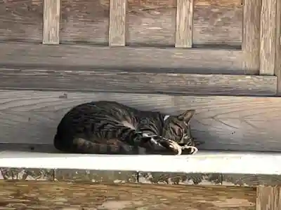 中尊寺(岩手県)