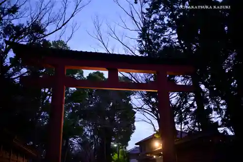 武蔵一宮氷川神社の鳥居