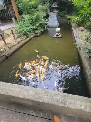 石鎚神社 口之宮 本社(愛媛県)