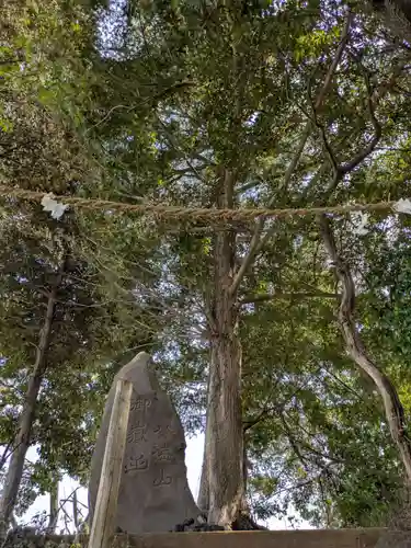 九重神社(埼玉県)