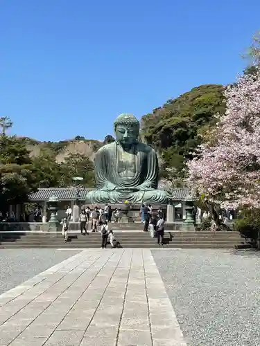 高徳院の仏像