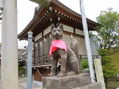 飛木稲荷神社の狛犬