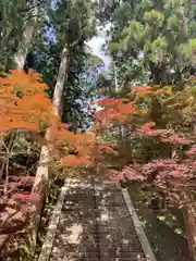 延暦寺 根本中堂の建物その他