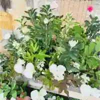 彌彦神社 (伊夜日子神社)(北海道)