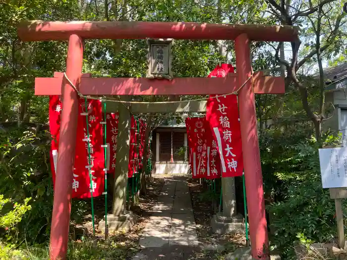 篠崎浅間神社の鳥居