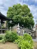 養福寺(東京都)