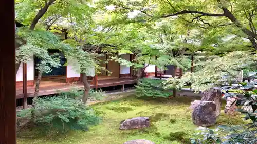 建仁寺（建仁禅寺）の庭園