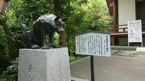 稲毛神社の狛犬