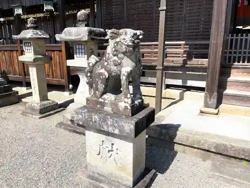 春日神社の狛犬