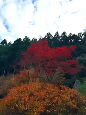明通寺(福井県)