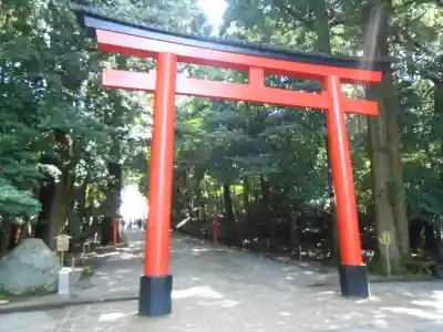 霧島神宮(鹿児島県)