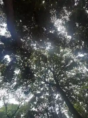 峯ヶ岡八幡神社(埼玉県)