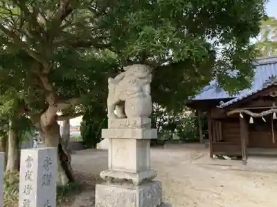 高井神社の狛犬