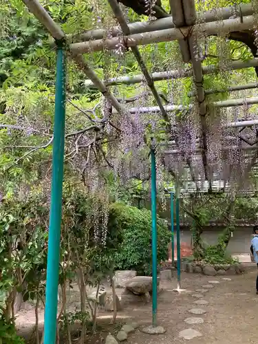 住吉神社の自然