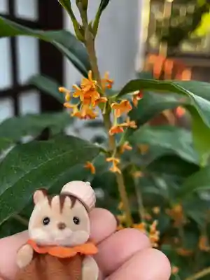 時友神社(兵庫県)