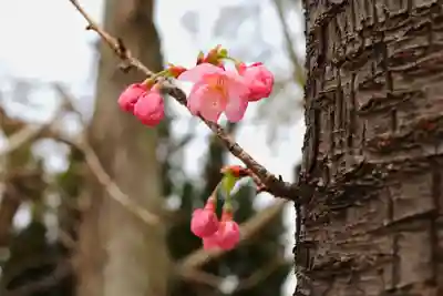 三津厳島神社(愛媛県)