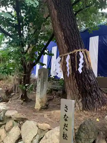 安居神社の自然