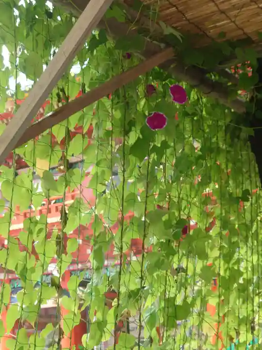 神田神社(神田明神)の自然