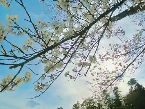 国宝 大法寺(長野県)