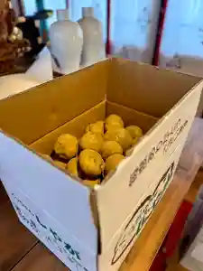 伊達神社(北海道)(2024年12月08日(日) 18時30分27秒投稿)