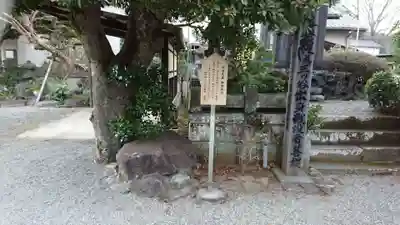 松雲寺(静岡県)