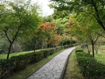 武雄神社(佐賀県)