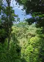 獅子窟寺の自然