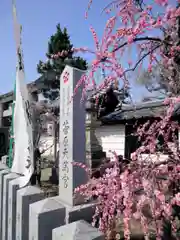 菅原天満宮（菅原神社）の自然