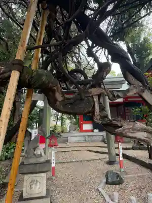 豊藤稲荷神社の{uncategorized: "未分類", other: "その他", undefined: "問題あり", building: "その他建物", grave: "お墓", sacred_gate: "鳥居", guardian: "狛犬", statue: "像", buddha: "仏像", history: "歴史", nature: "自然", garden: "庭園", animal: "動物", pagoda: "塔", temizu: "手水舎", mountain_gate: "山門・神門", sanctuary: "本殿・本堂", subordinate: "末社・摂社", art: "芸術", scenery: "景色", jizo: "地蔵", ema: "絵馬", goshuin: "御朱印", omikuji: "おみくじ", items: "授与品その他", amulet: "お守り", goshuincho: "御朱印帳", eats: "食事", festival: "お祭り", votive_dance: "神楽", shichigosan: "七五三参", wedding: "結婚式", experience: "体験その他", initially: "初詣", around: "周辺", anti_infection: "感染症対策"}