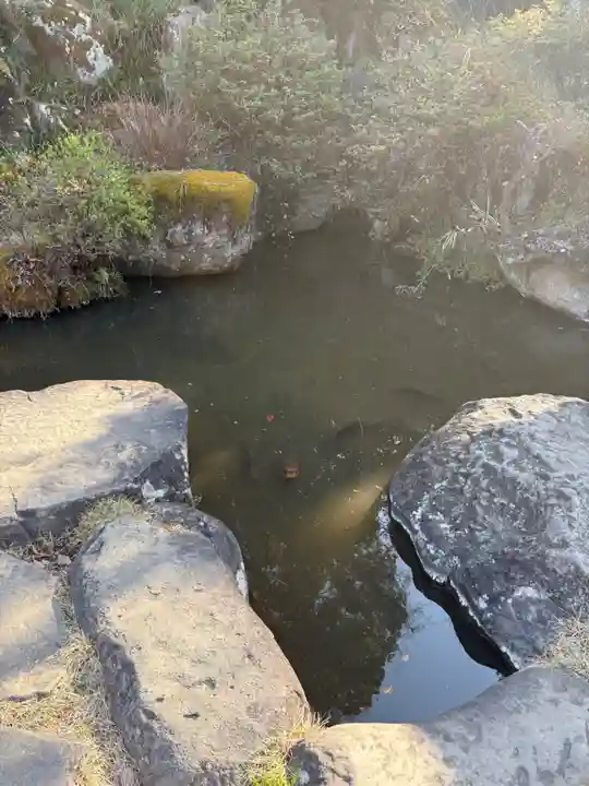 達磨寺(群馬県)