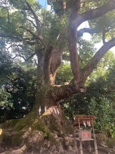 壺井八幡宮(大阪府)