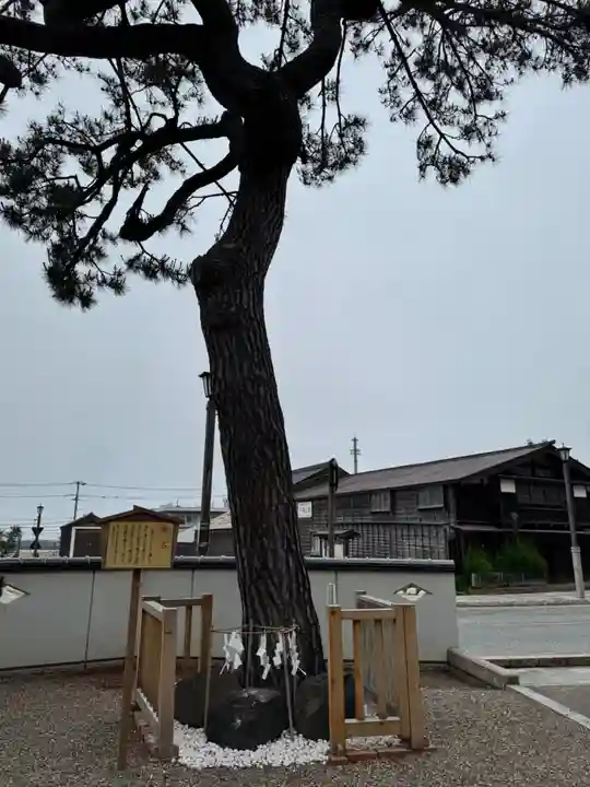 姥神大神宮(北海道)