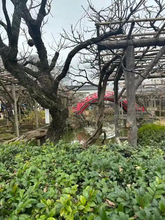 亀戸天神社(東京都)