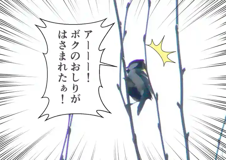 留辺蘂神社の動物