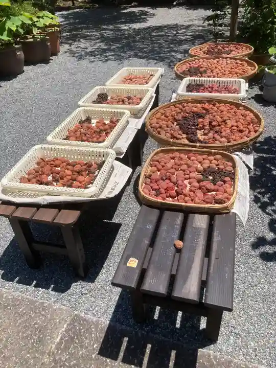 寶安寺(宝安寺)(神奈川県)