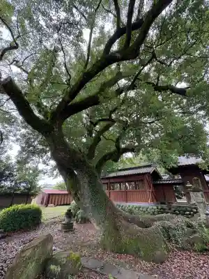 津江神社(福岡県)