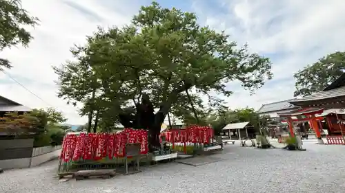 秩父今宮神社(埼玉県)