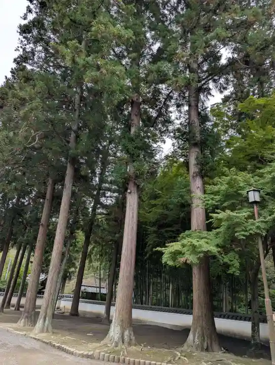 正楽寺(岡山県)