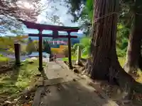 絵馬ヶ沢稲荷大明神の鳥居